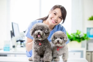 veterinarian, veterinary lawyer, veterinary attorney, vet lawyer, vet attorney, veterinary practice