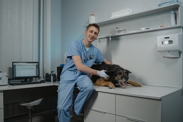 vet, veterinary lawyer