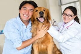 veterinary attorney, veterinary lawyer, veterinarian, vet practice, veterinary clinic
