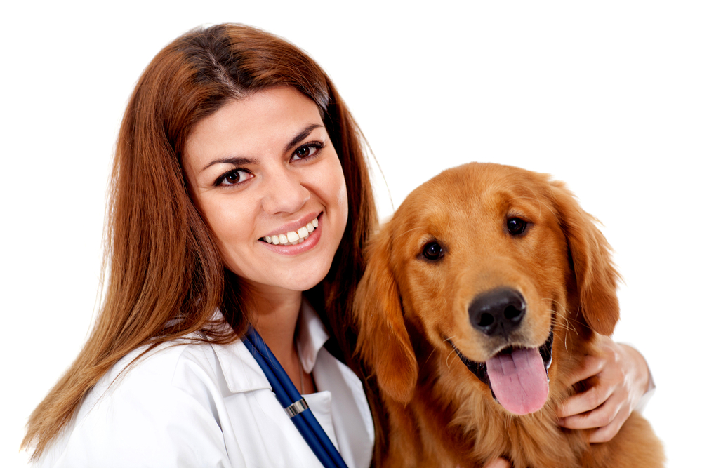veterinary lawyer. purchase veterinary practice. veterinary startup. vet clinic